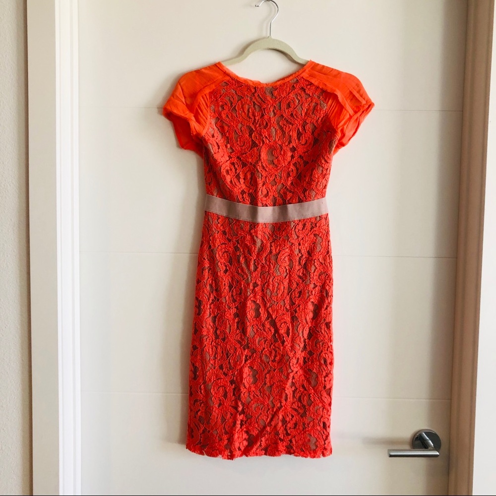 BCBGMaxAzria vibrant tangerine 🍊 lace dress